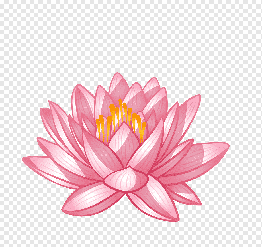 Lotus Çiçeği Vektörel Çizimi