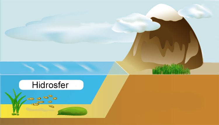 hidrosfer nedir